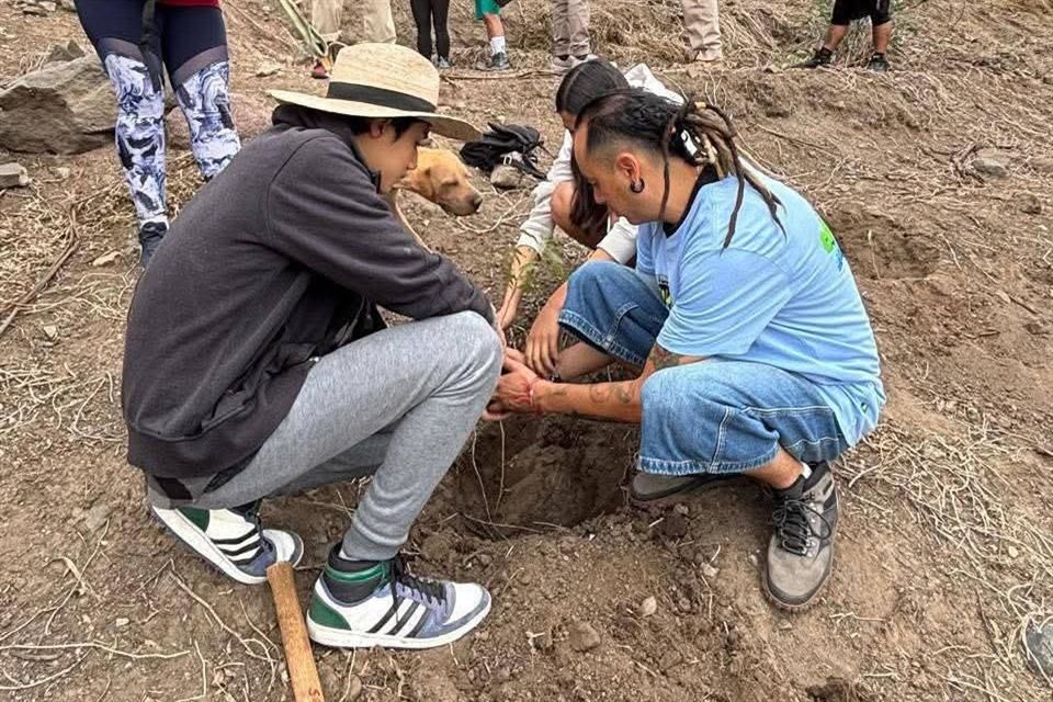 Sonideros organizan jornada de reforestación en Gustavo A. Madero