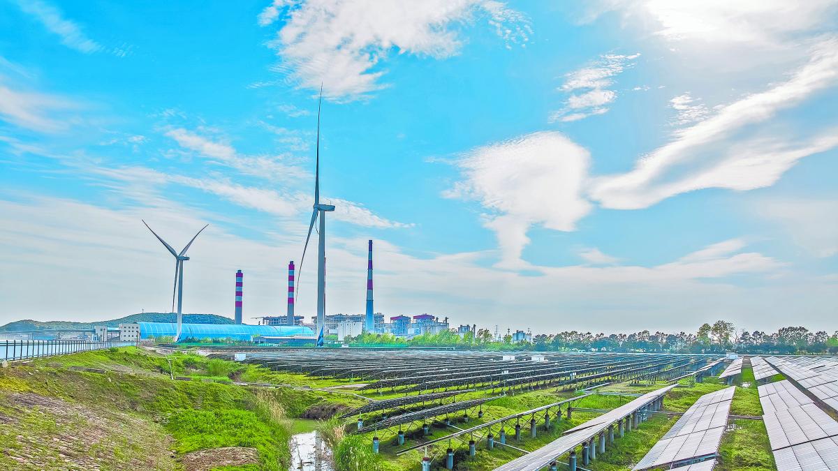 Autoconsumo eléctrico, la vía más barata para las grandes consumidoras de energía en México