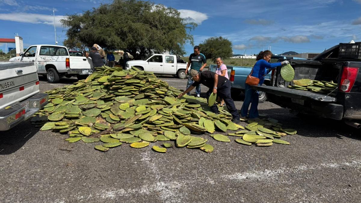 Ayuntamiento de Querétaro fortalece al sector agrícola con entrega de insumos a productores