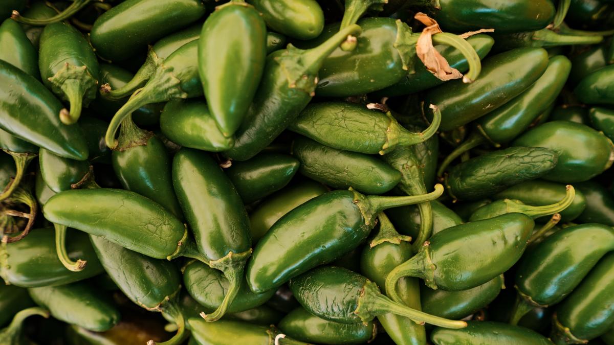 Cofepris descarta contaminación por salmonella en jalapeños mexicanos