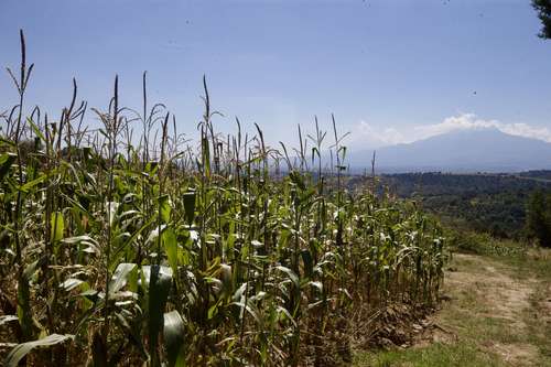 Crédito al campo crece 10% en tres años tras extinción de Financiera Nacional