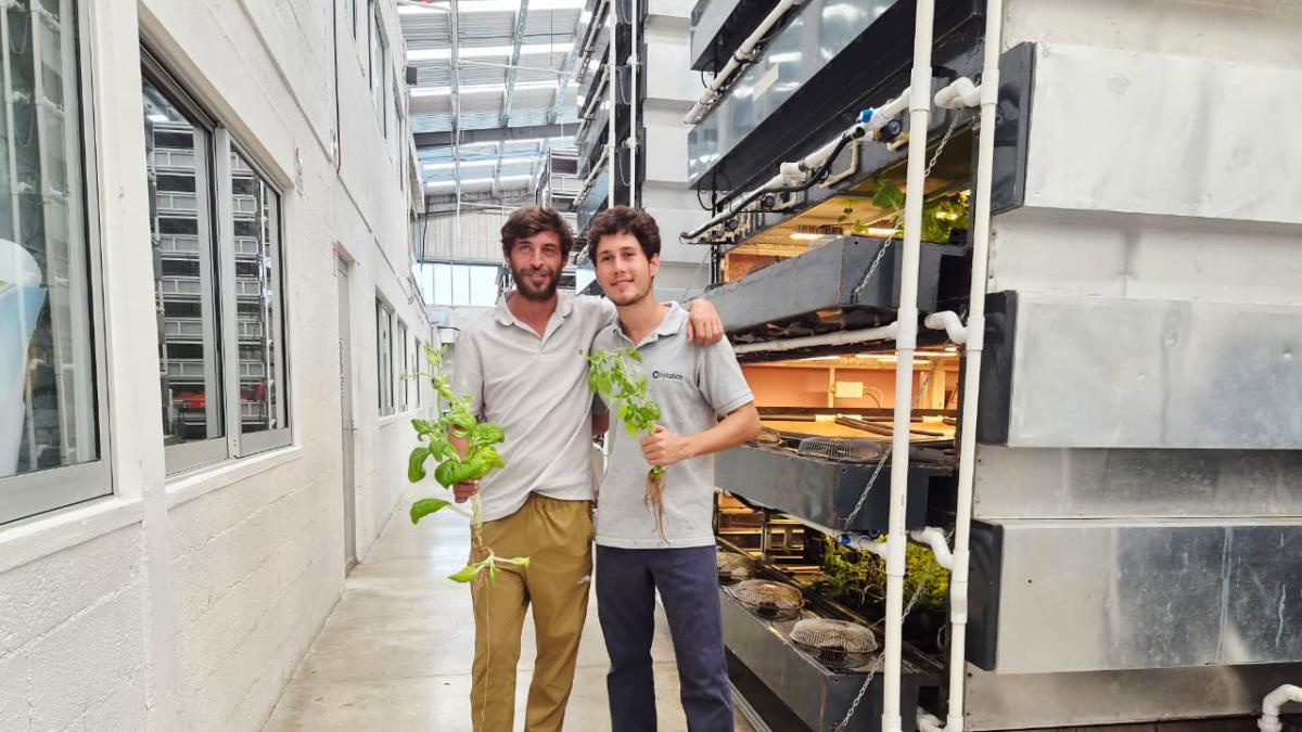 Ecolístico: Granja vertical con cultivo aeropónico que reduce el agua hasta un 99%