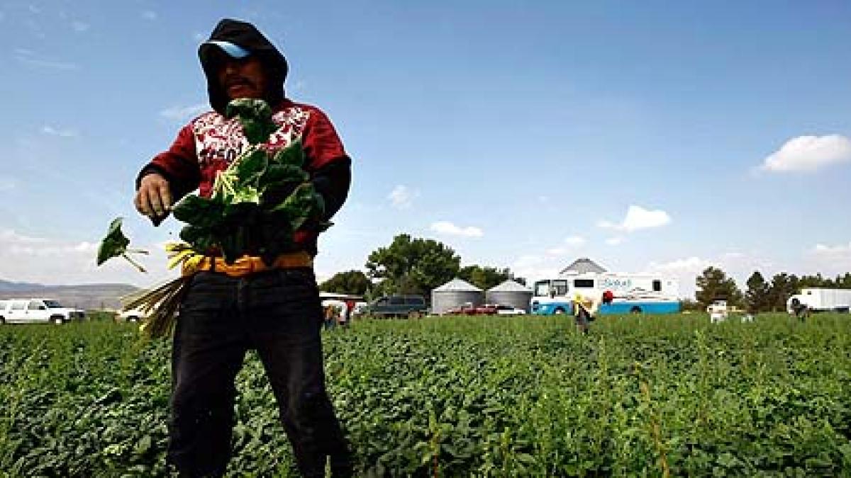 Financieras agropecuarias, ante mayor morosidad por clima y precios de materias primas