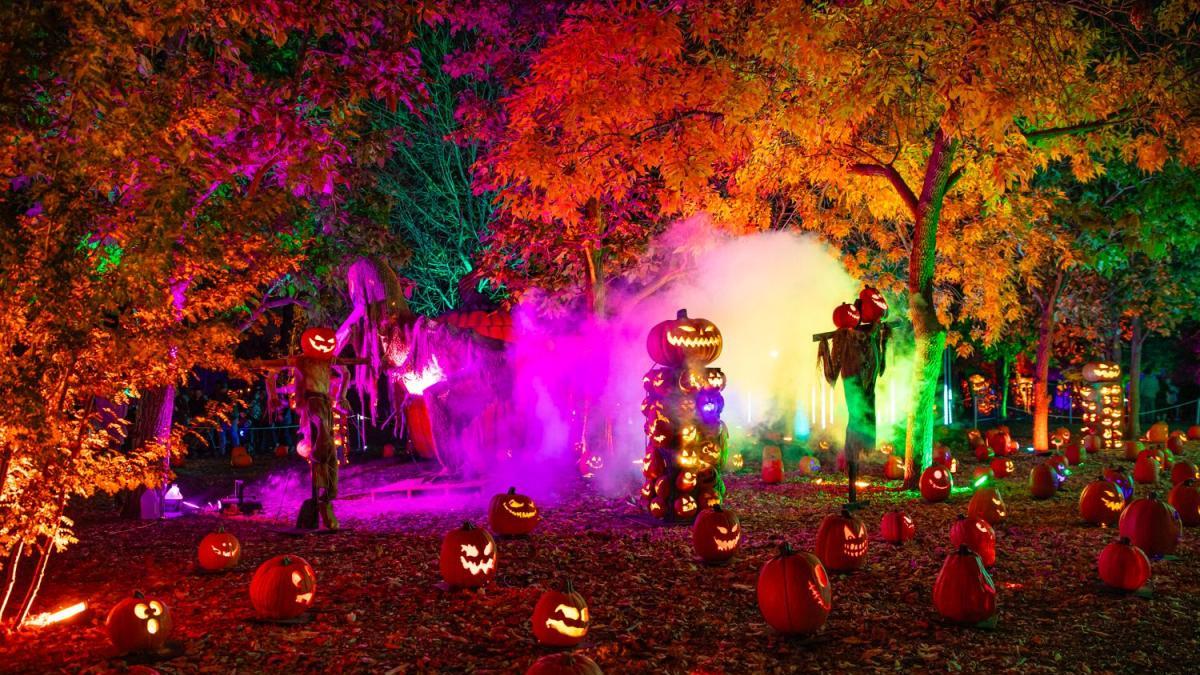 Halloween 2026: Denver presenta 10 lugares para disfrutar la temporada