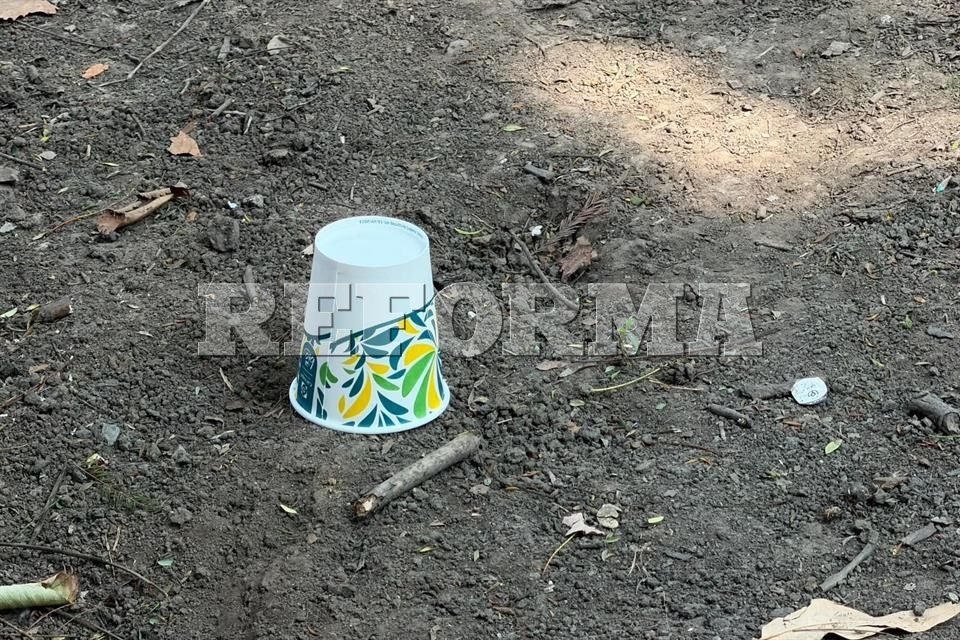 Investigan a dos hombres por envenenar perros en el Parque España