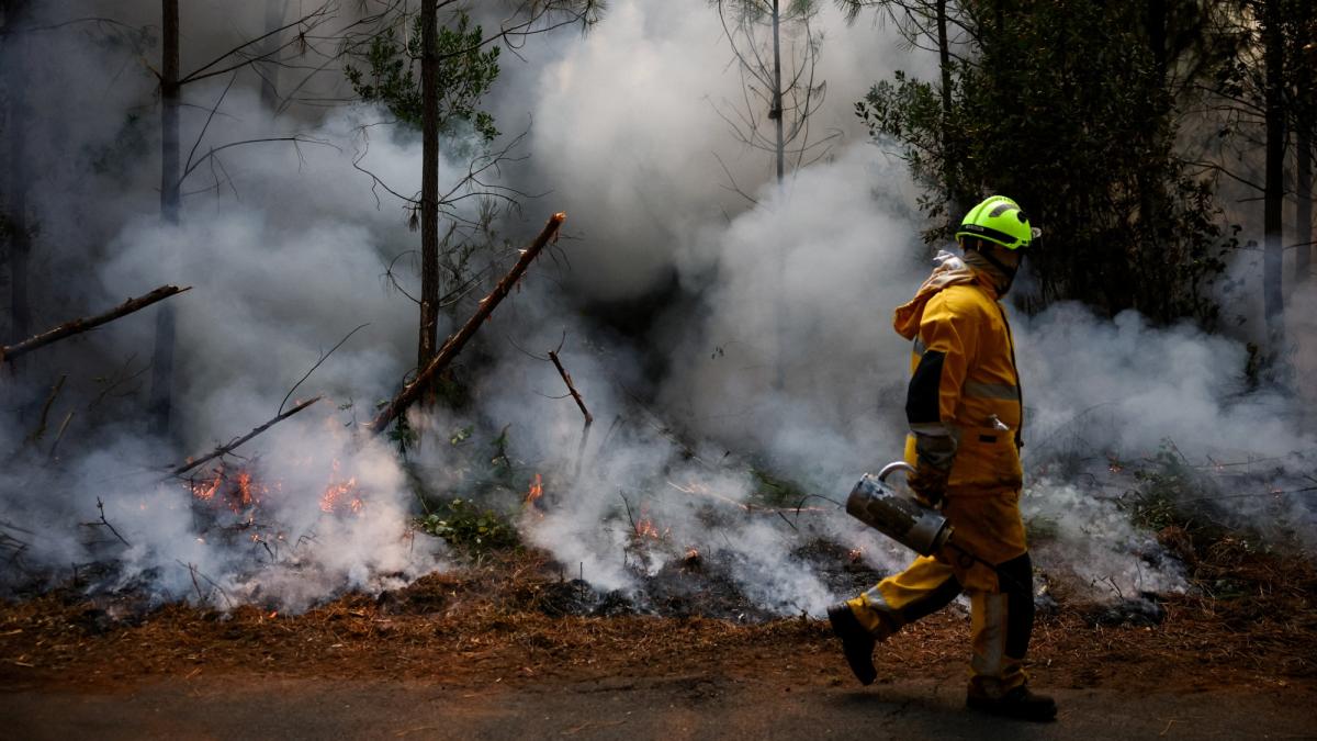 Pierden fuerza los incendios en Francia y España, pero surgen nuevos frentes en el sureste de Europa
