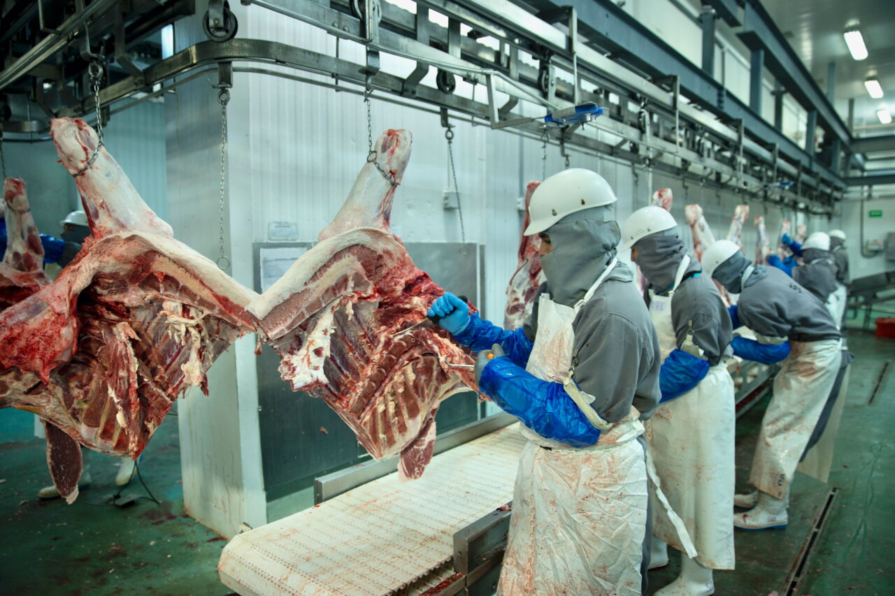 Reglas inciertas para importar carne brasileña amenazan los planes de la industria cárnica mexicana