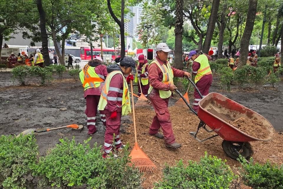 Rehabilitan daños a flora de Reforma tras festejos